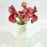 Mini Calla Cherry