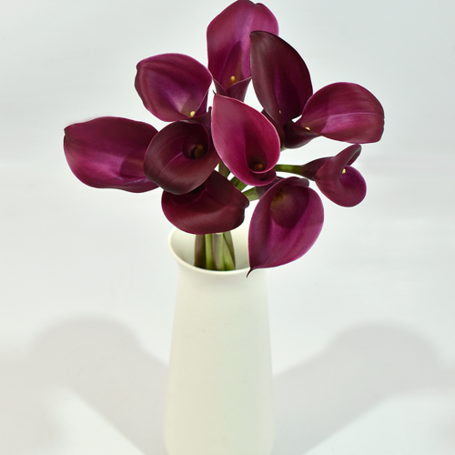 Mini Calla Purple