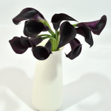 Mini Calla Deep Purple