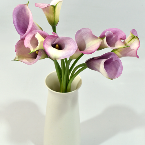 Mini Calla Lila