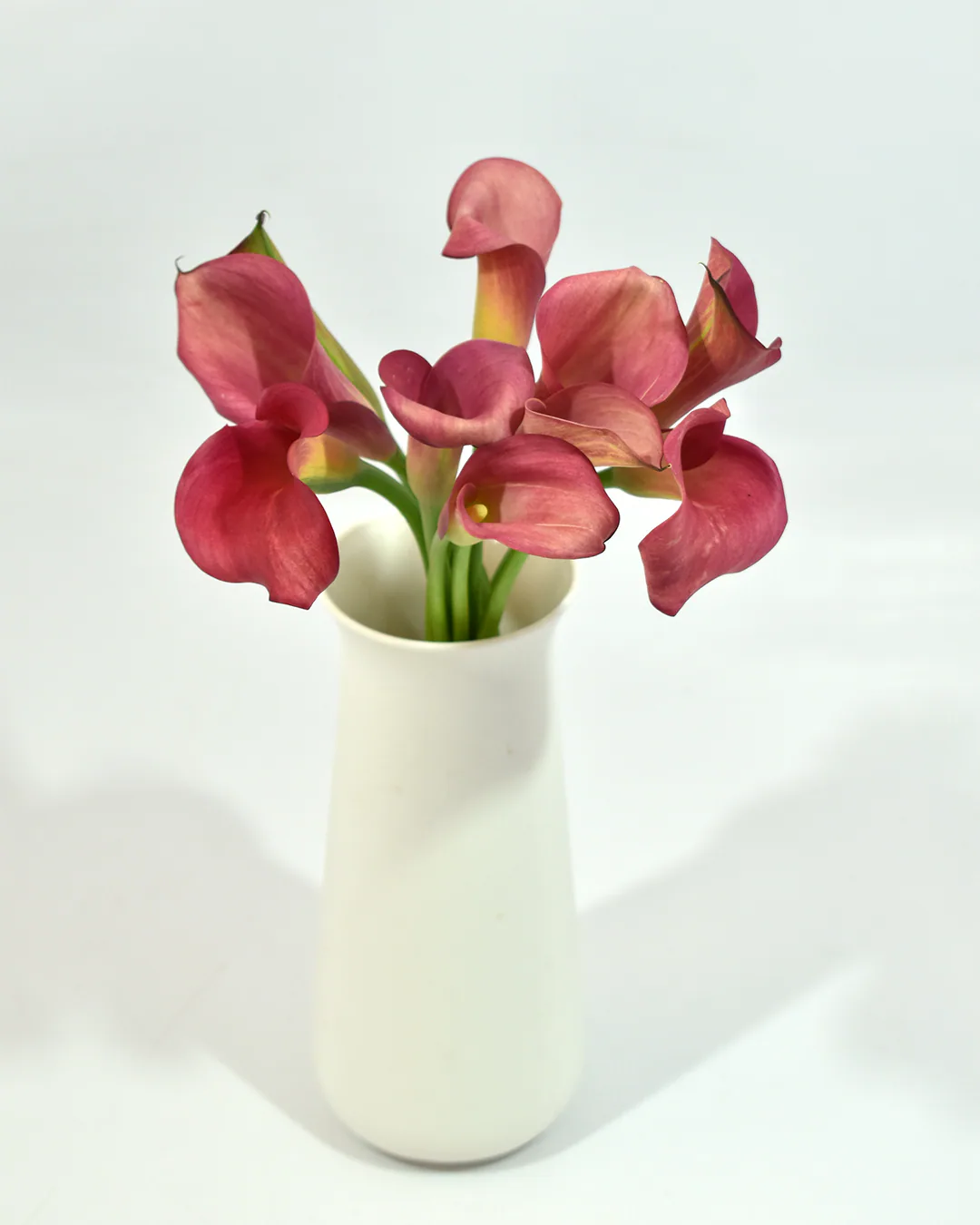 Mini Calla Cherry — Mini Calla