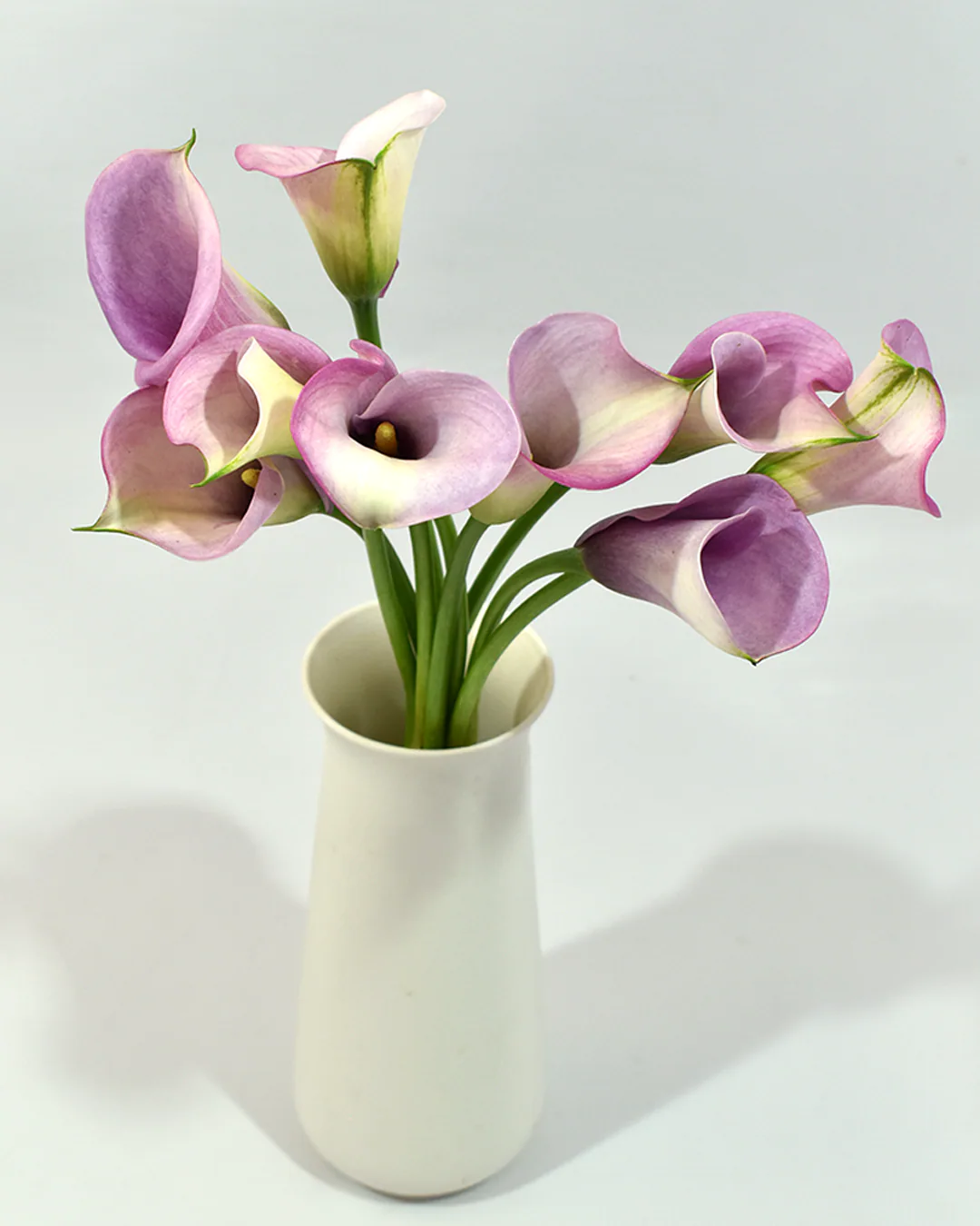 Mini Calla Lila — Mini Calla