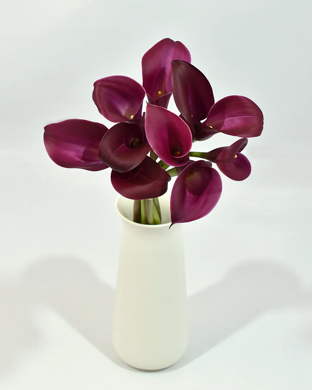 Mini Calla Purple — Mini Calla