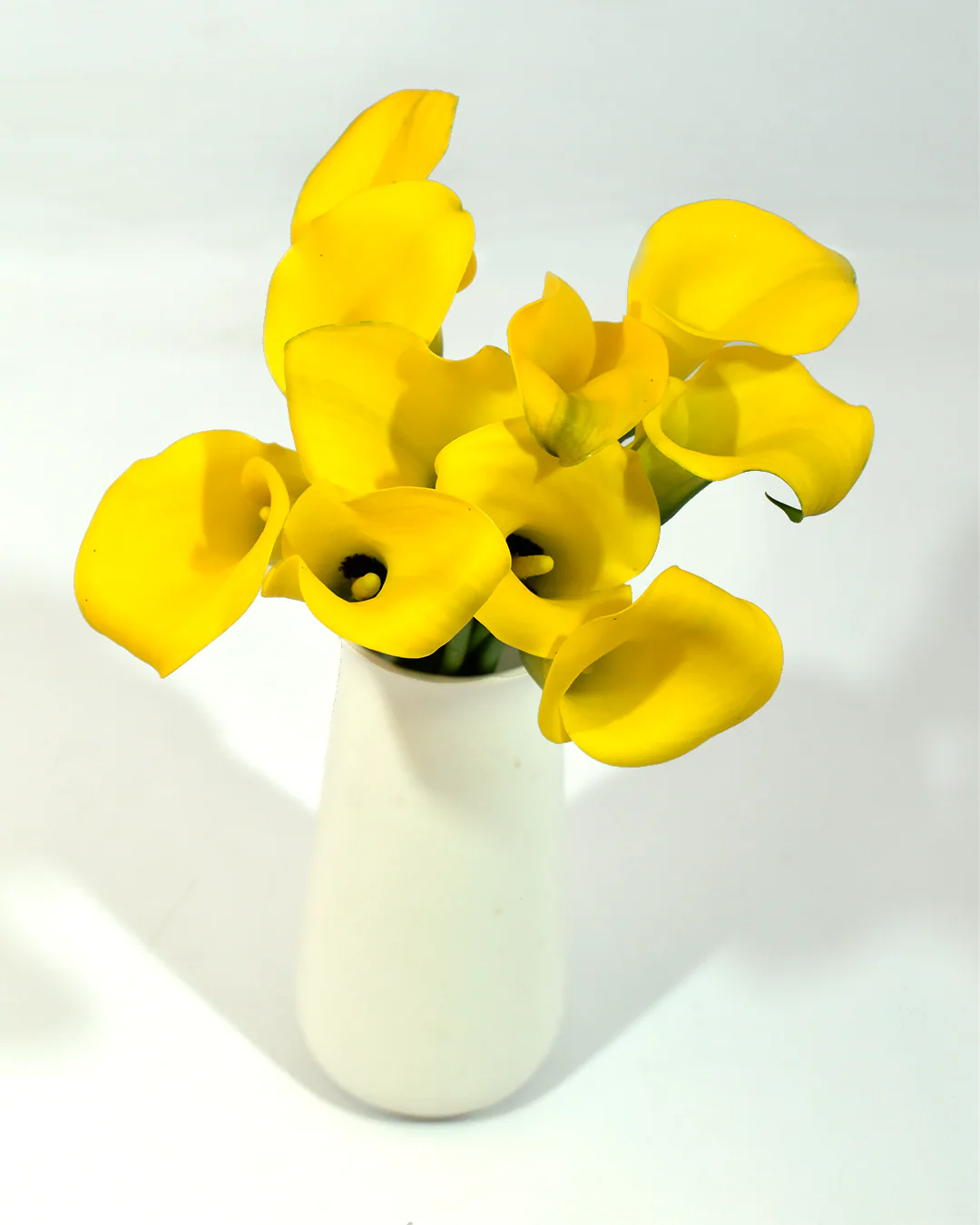 Mini Calla Yellow — Mini Calla