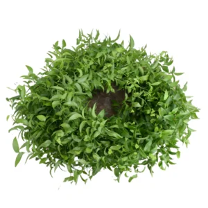 SMILAX GARLAND