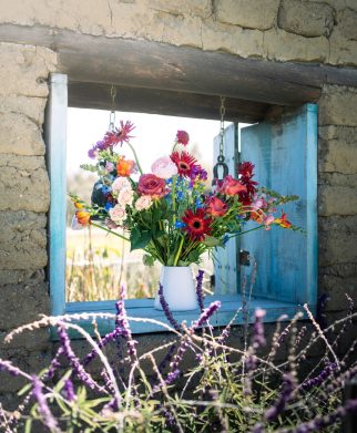 bouquets-motion-copia-de-dsc09456 (1)