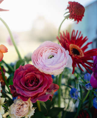 bouquets-motion-post-aga